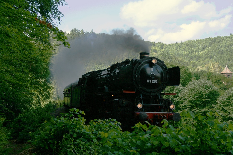 01 202 in Hohenecken 31.5.2014